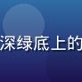 读者头像四:深绿底上的抽象线条构成